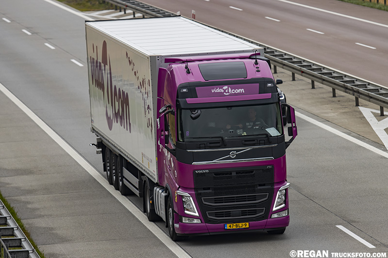 Volvo FH4 VidaXL.jpg