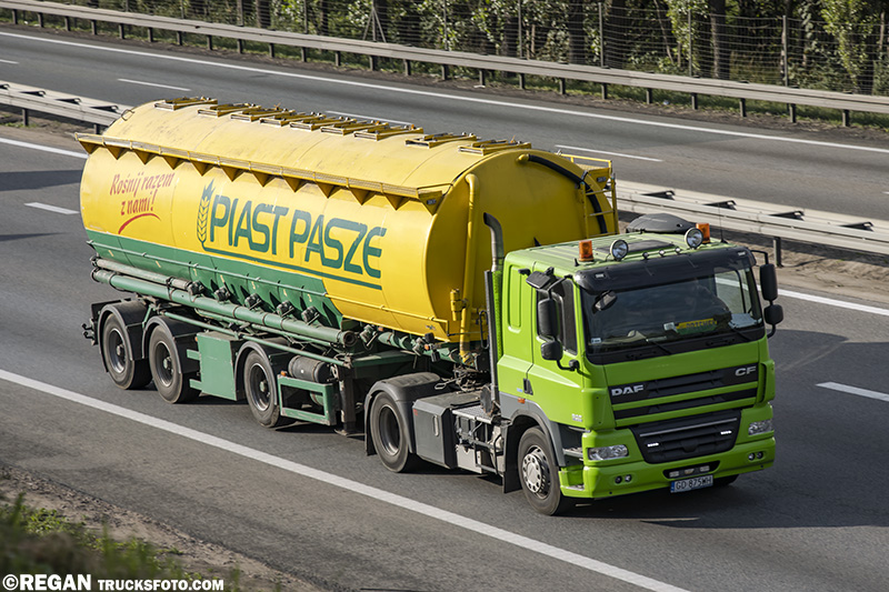 DAF CF - Piast Pasze.jpg