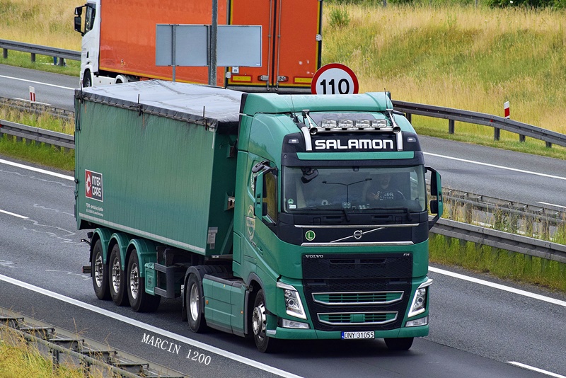 _DSC4822-crop-Salamon-VOLVO FH IV.JPG