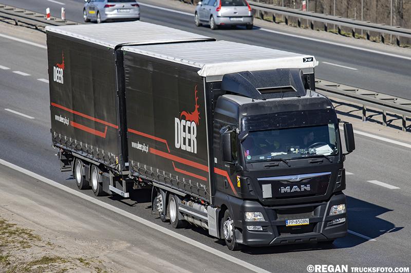 MAN TGX - Deer.jpg