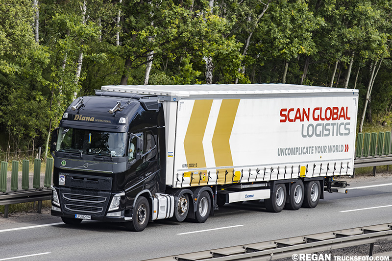 Volvo FH4 - Diana International.jpg