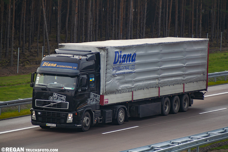 Volvo FH2 - Diana International.jpg