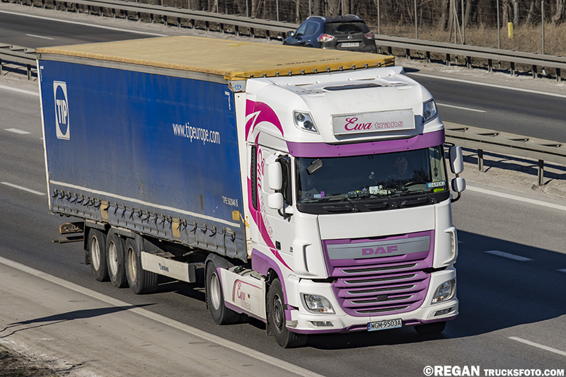 DAF XF - Ewa trans.jpg