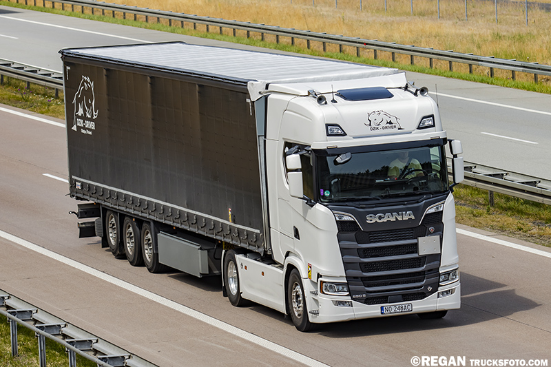 Scania 590S V8 - Dzik Driver.jpg