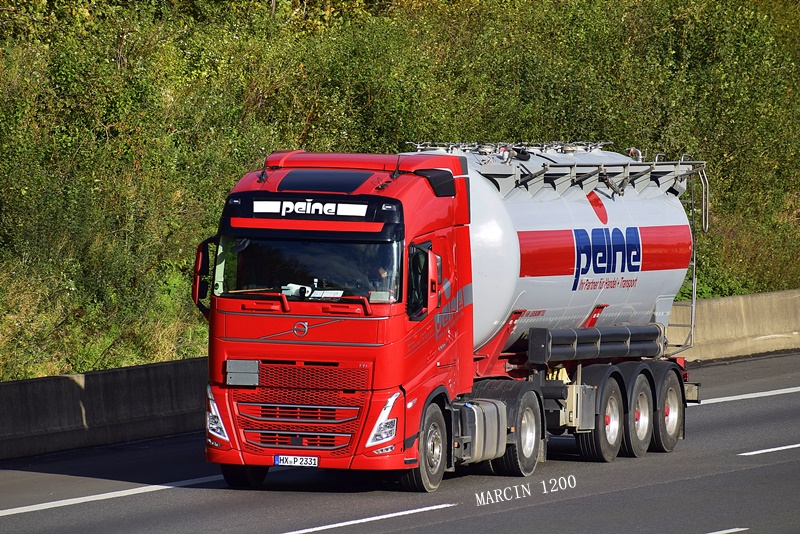 _DSC8056-crop-PEINE-VOLVO FH V.JPG