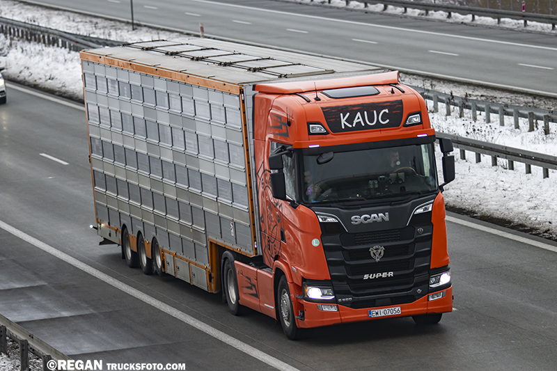 Scania S650 V8 - Kauc.jpg