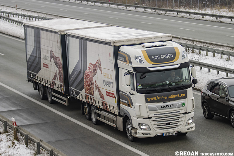 DAF XF - KNS Cargo kns-windows.jpg