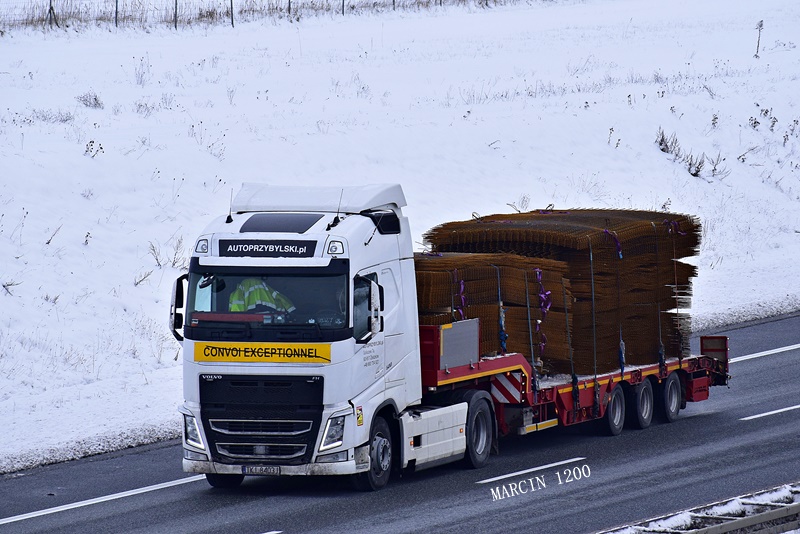 _DSC9117-crop-Autoprzybylski-VOLVO FH IV.JPG