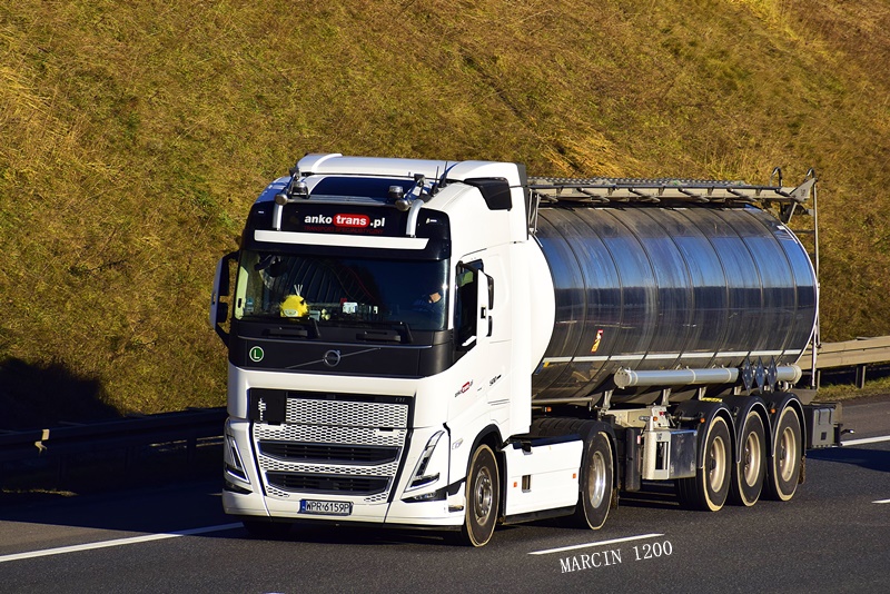 _DSC8806-crop-ANKO-VOLVO FH V.JPG