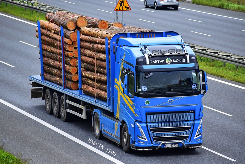 _DSC6930-crop-TARTAK MONIŚ-VOLVO FH V.JPG