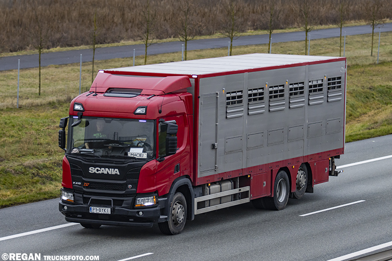 Scania P410 XT - Barwit Orchowo P1_BYKI.jpg