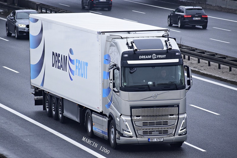 _DSC9204-crop-Dream Fruit-VOLVO FH V.JPG