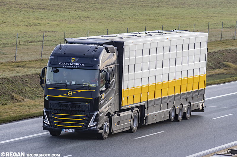 Volvo FH5 - Europe Livestock Transport.jpg