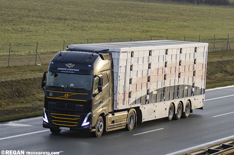 Volvo FH5 Europe Livestock Transport.jpg
