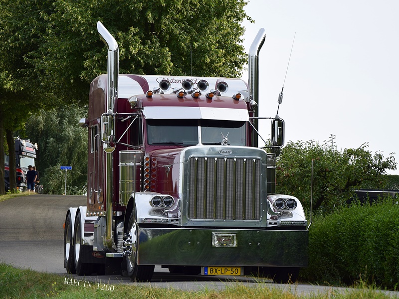 _DSC1231-crop.JPG