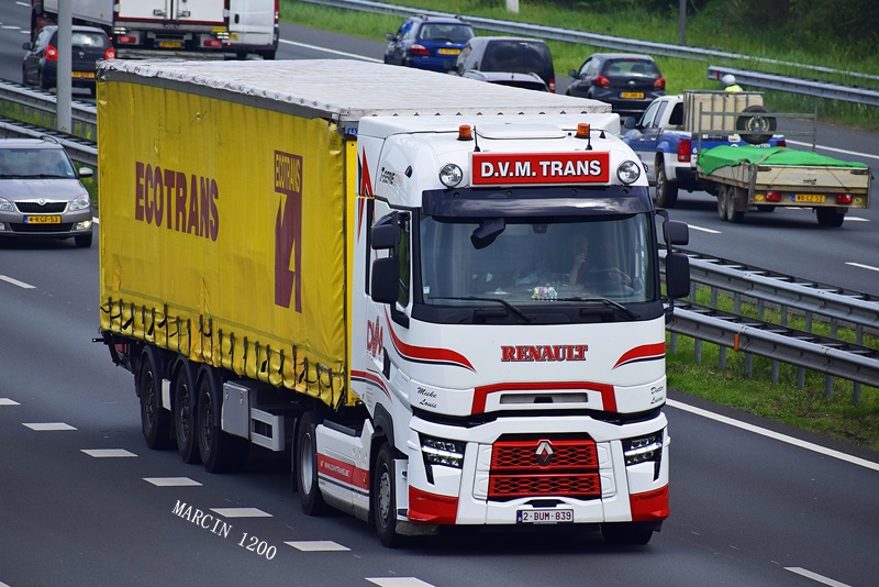 _DSC3225-crop-D.V.M. Trans-Renault Range T Evo.JPG