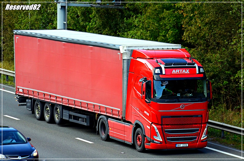 DSC_3887.JPG Artax.JPG