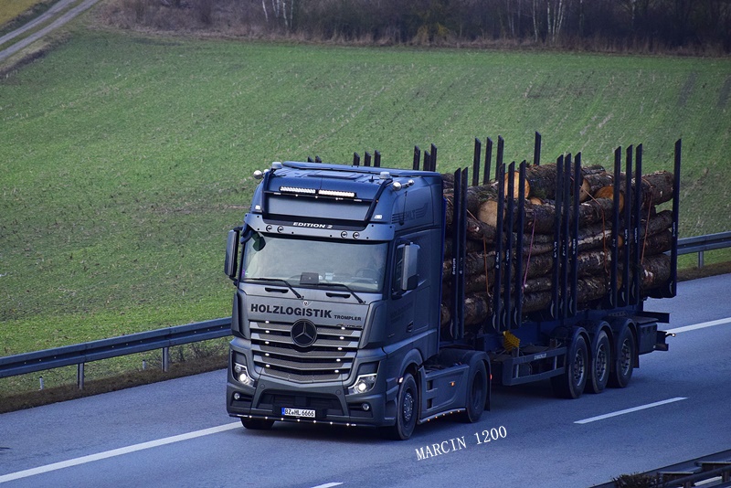 _DSC9423-crop-Holzlogistik Trompler-Mercedes-Benz Actros MP5 GigaSpace Edition 2.JPG