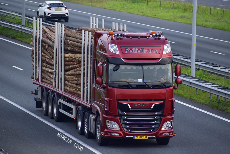 _DSC3474-crop-Pollotrans-DAF XF 106 II.JPG