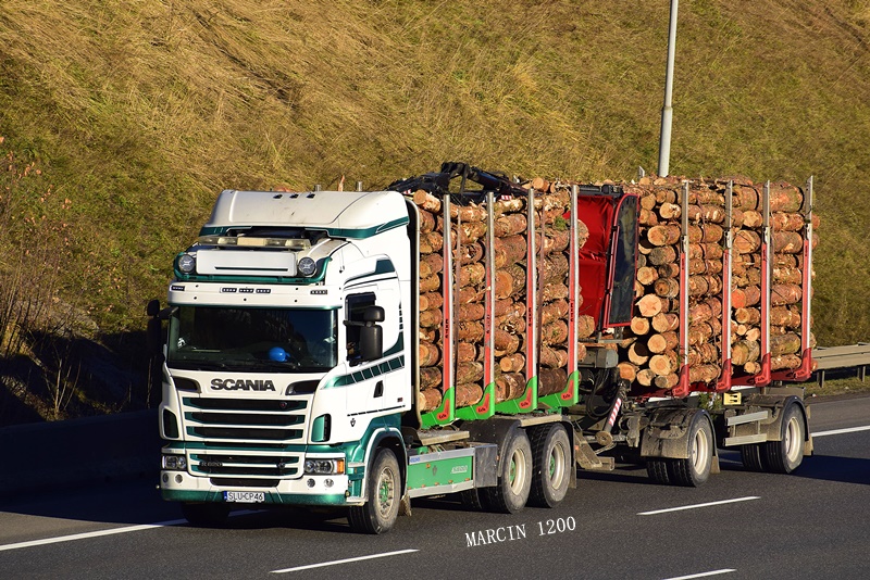 _DSC8823-crop-TRANSPORT DREWNA-SCANIA RII.JPG
