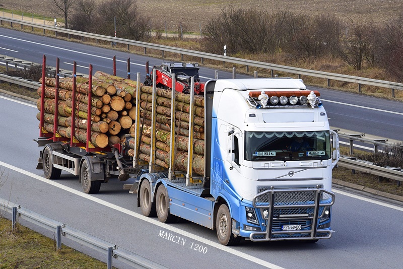 _DSC9654-crop-TRANSPORT DREWNA-VOLVO FH IV.JPG