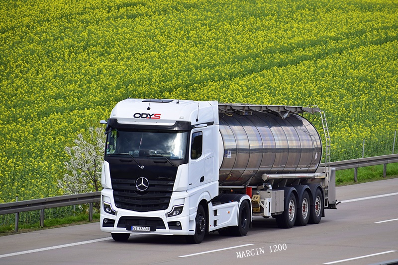 _DSC2422-crop-Odys-Mercedes-Benz Actros MP5.JPG