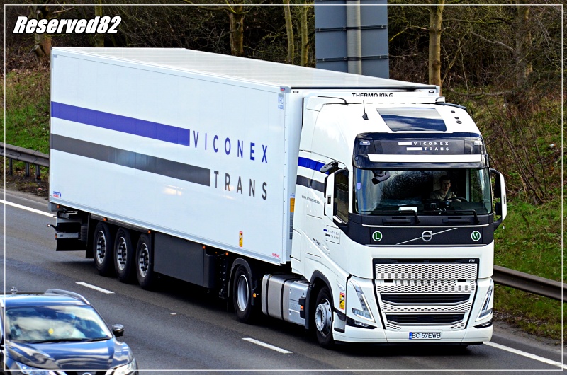 DSC_9419.JPG Vikonex Trans.JPG