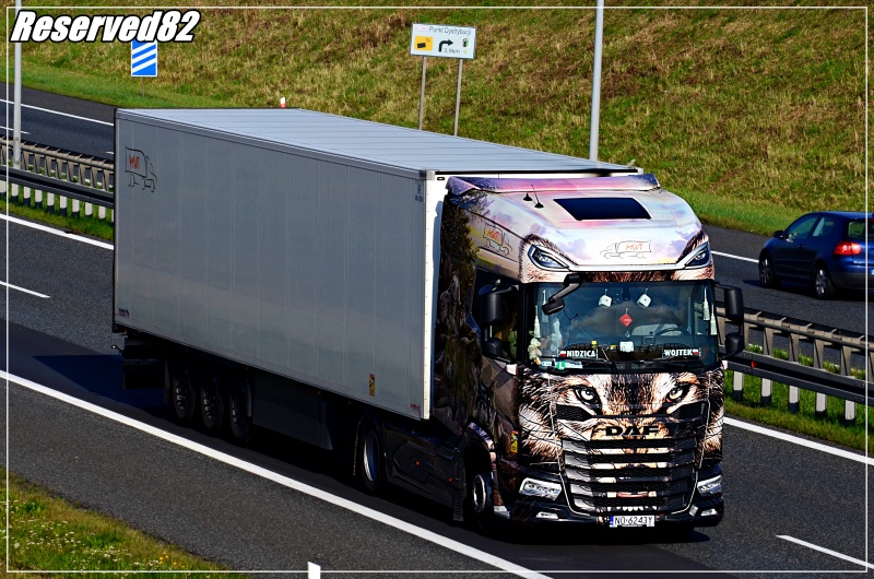 DSC_5122.JPG Mwt.JPG