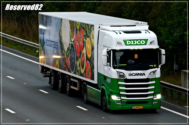 DSC_1757.JPG Dijco.JPG