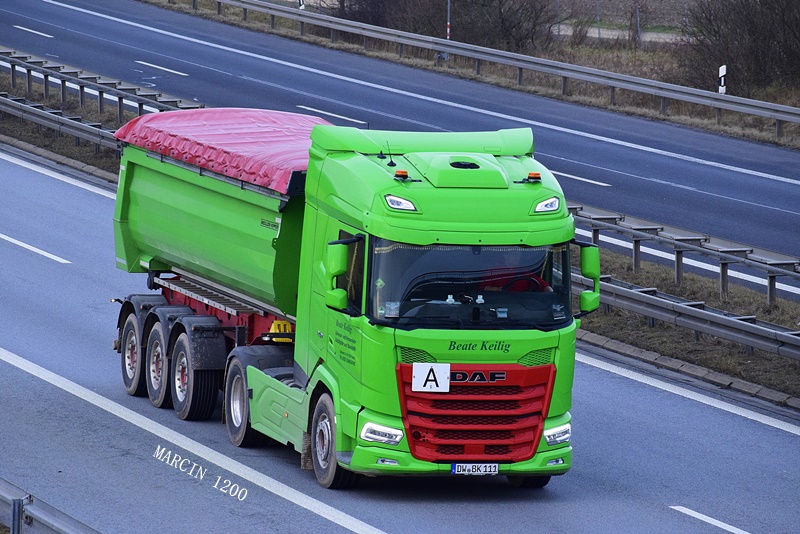 _DSC9456-crop-Beate Keilig-DAF XF.JPG