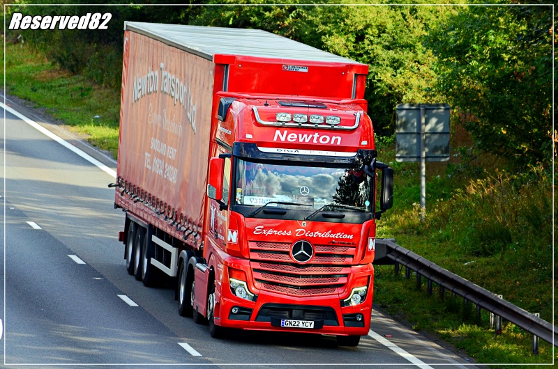 DSC_5613.JPG Newton.JPG