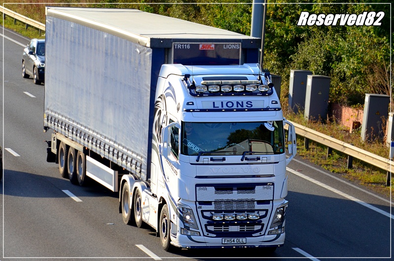 DSC_8220.JPG Lions.JPG