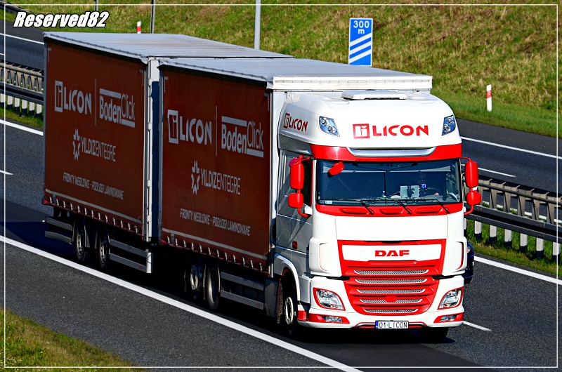 DSC_6195.JPG Licon.JPG