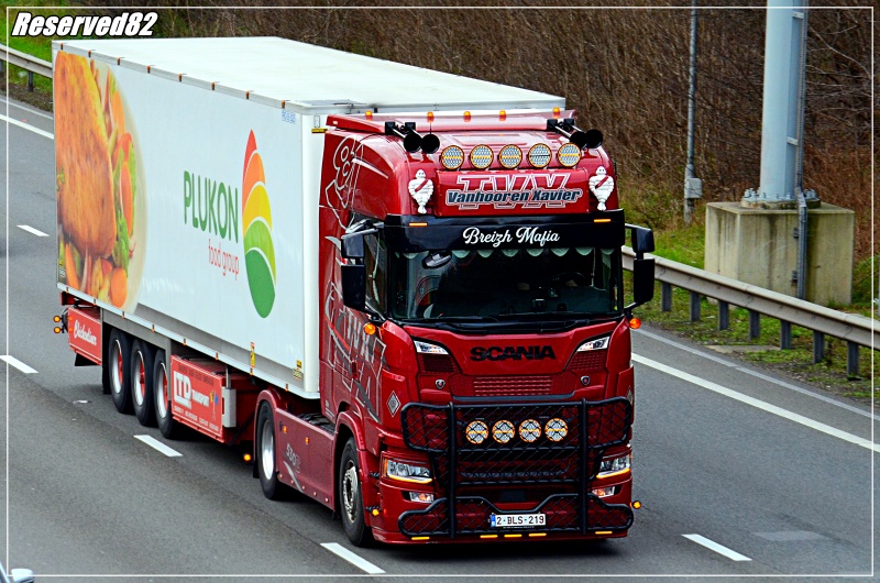 DSC_8838.JPG Tvx.JPG