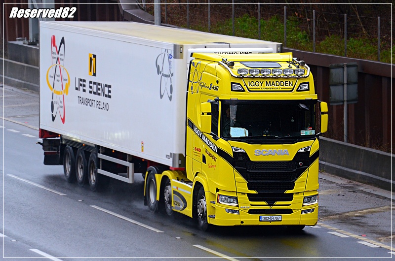 DSC_7889.JPG Iggy madden.JPG