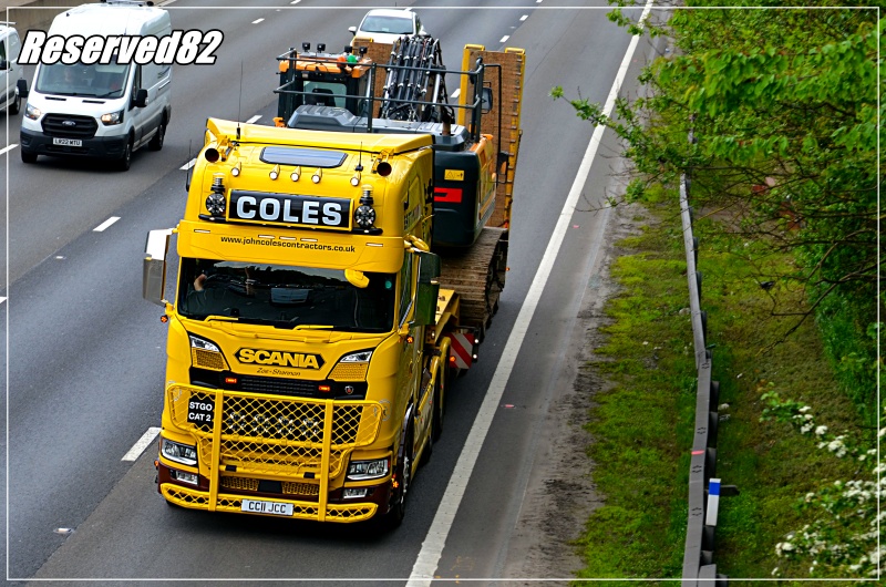 DSC_3238.JPG Coles.JPG