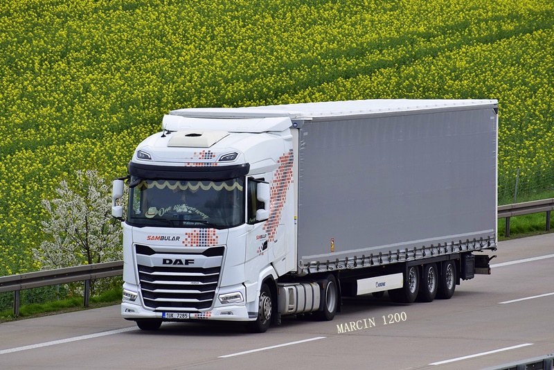 _DSC1621-crop-Sambular-DAF XG-KRONE.JPG