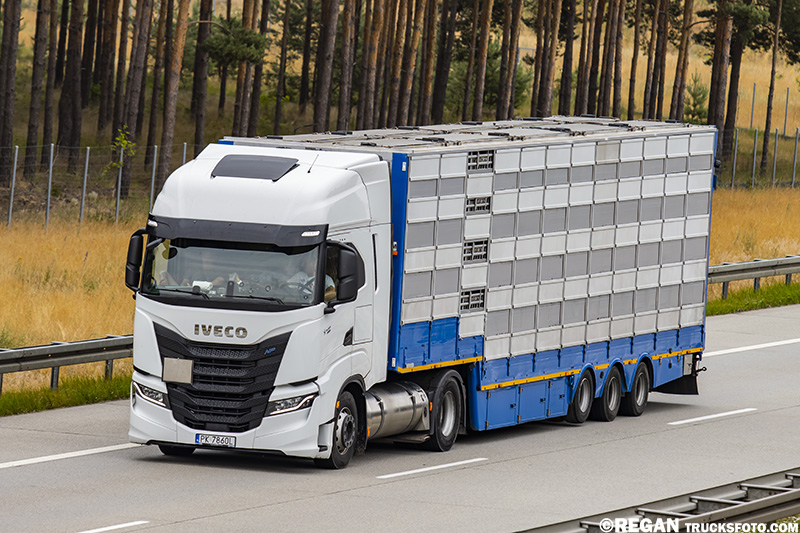 Iveco S-Way LNG.jpg