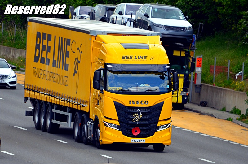 DSC_3154.JPG Bee line.JPG