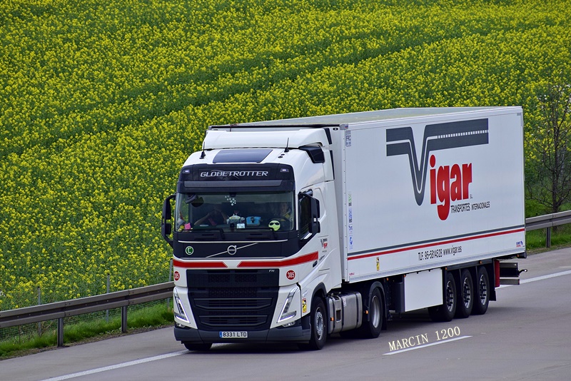 _DSC2467-crop-Vigar -VOLVO FH V.JPG