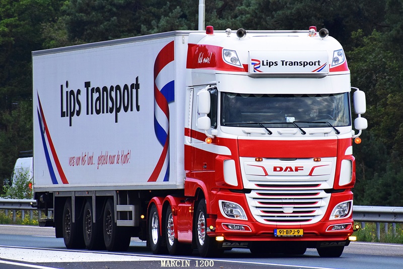 _DSC8092-crop-Lips Transport-DAF XF 106 II.JPG