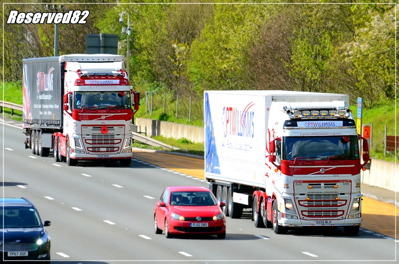 DSC_4734.JPG Ptwilliams.JPG