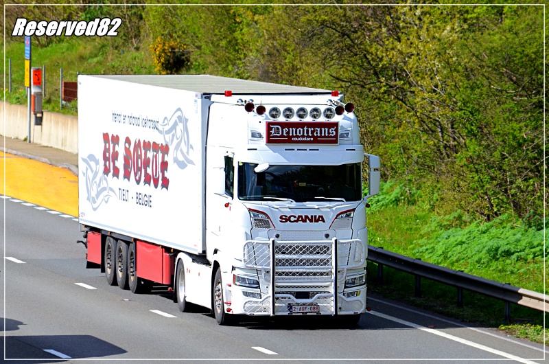 DSC_4101.JPG Denotrans.JPG