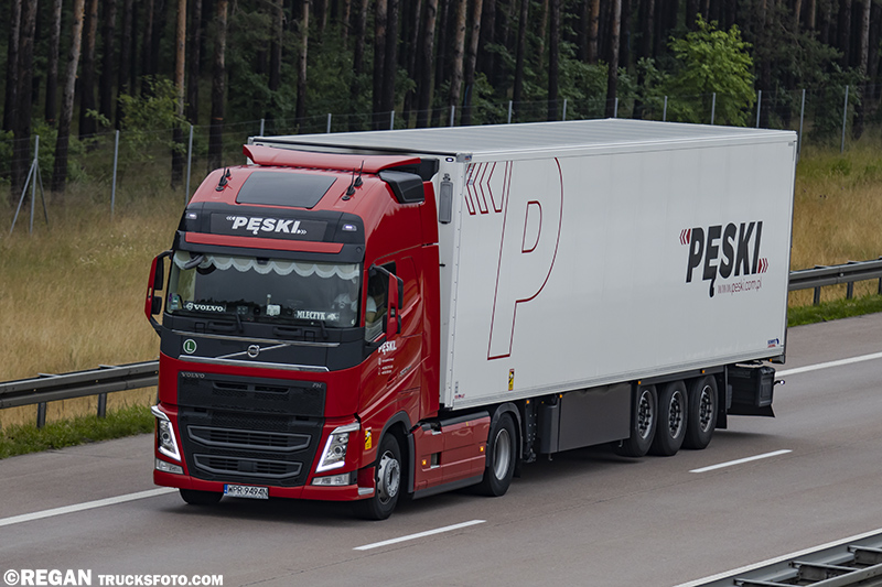 Volvo FH4 - Pęski.jpg