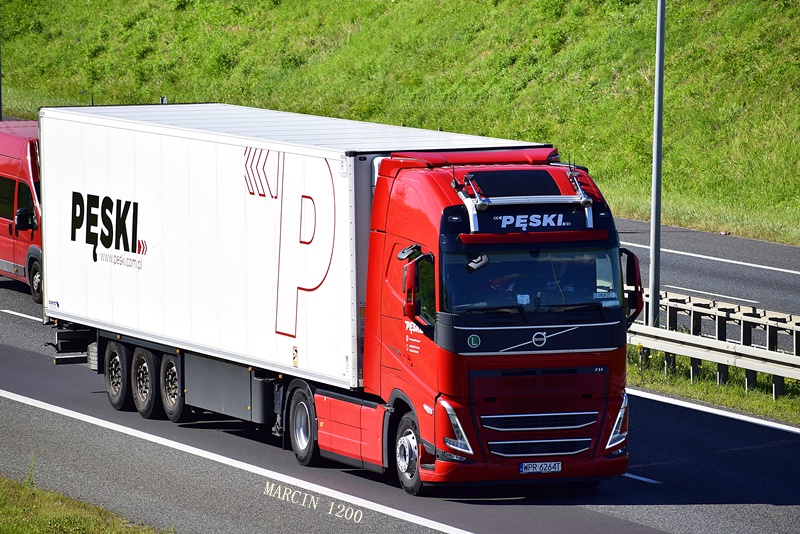_DSC6806-crop-Pęski-VOLVO FH V.JPG