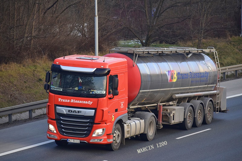 _DSC1406-crop-DAF XF106 II- Trans-Bieszczady.JPG