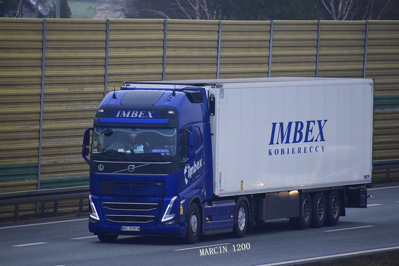 _DSC0141-crop-Volvo FH V- Imbex-Schmitz Cargobull.JPG