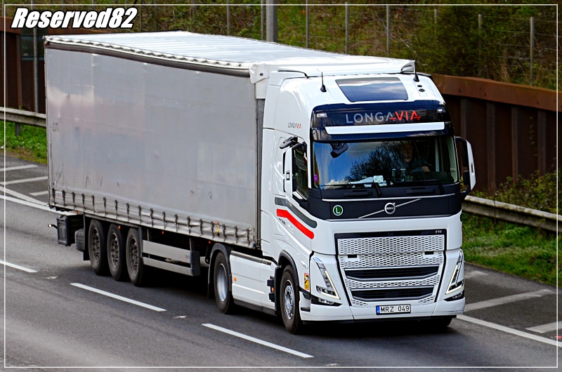 DSC_5680.JPG Longavia.JPG