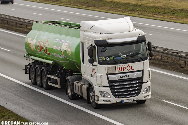 DAF XF - Bipol.jpg