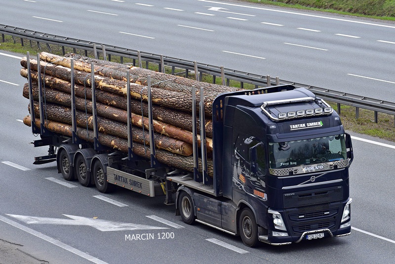 _DSC0932-crop-Tartak Smrek-VOLVO FH IV.JPG